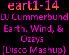 DJ Cummerbund Earth Wind