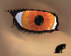 Orange Eyes 2