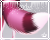 Amoré | Tail 7