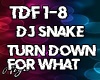 DJ Snake  Turn Down for