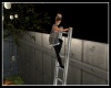 Outdoor Ladder