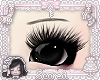 doll brows v4