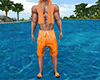 Orange Swim Bundle (M)