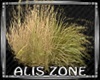 [AZ] Long grass 02
