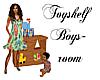 Toyshelf Boysroom