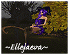 Bewitching Flying Broom