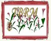 [TBRM] Ani Field Lilies 