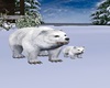 POLAR BEAR FAMILY