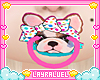 Kids Pug Pacifier