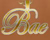 BAE CHAIN 3