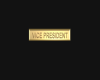 (R97) VICE PRESIDENT TAG