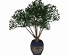 Elegant Club vase/plant