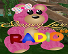 Teddy Bear Radio