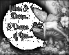 When i dream, I dream...