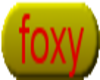 foxy tag