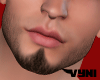 Asteri.Beard 1.0