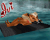 kisses on the raft