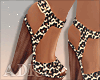 ~A: Leopard'Shoes