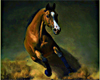 Equus - Horse painting