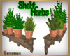 Shelf with herbs