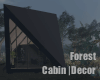Forest Cabin |Decor