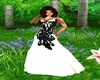 Lace Black & White Dress