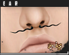 .°. Wario Septum - M