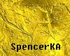 spencerKA Old Sofa