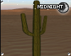 ☽M☾ Desert Cactus