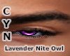 Lavender Nite Owl