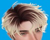 [RS]BlondyBrown-Damien