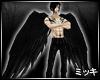 ! Demonic Black Wings