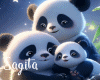 S' Panda 4