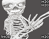 Skeleton Skully Leg Whit