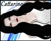 [Cat]Vantrice Black