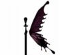 fairy wings 61