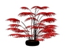 plant red