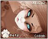 [Pets] Fievel | hair v5