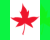 Canadian Invasion