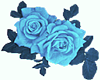 Blue Rose Right