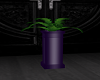 Purple base with plant