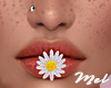 Mel*Spring Flower/Mouth