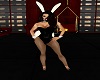 Bunny Suit  Black F V1