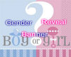Genderr Reveal Banner