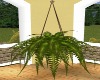 Hanging Plant Basket2