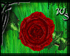 NOCKU Green Pixie