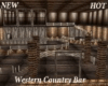 HOT WESTERN COUNTRY BAR