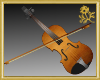 Unisex Beginner Violin