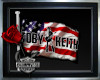 ~Toby Keith Flag~