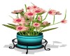 Pink Flower In a Pot